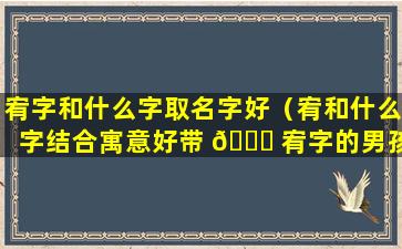 宥字和什么字取名字好（宥和什么字结合寓意好带 🍁 宥字的男孩 🐡 名字）